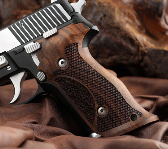 Sig Sauer P229 custom pistol grips professional target - Bestpistolgrips